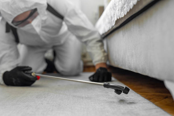 Professional Termite Control technician working in Hartford, WI