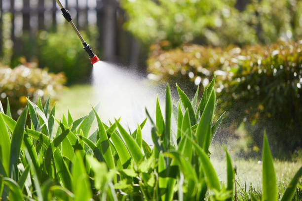 24/7 Emergency Termite Control experts in Hartford, WI
